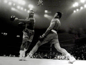 1280x960 Boxing Wallpaper 15704 1280x960 Px Wallpaper