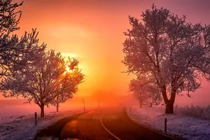 1350x900 Misc: Colors November Trees Autumn Foliage Nature Leaves Fall Wallpaper