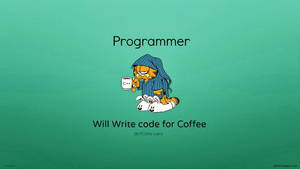 1366x768 Coding Wallpaper Programmer Wallpaper Cbse Today Wallpaper