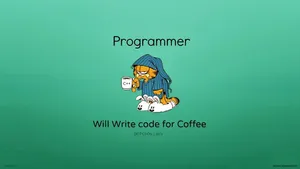 1366x768 Coding Wallpaper Programmer Wallpaper Cbse Today Wallpaper