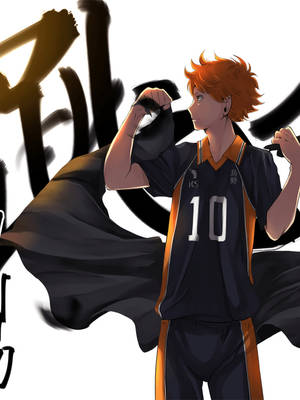 1536x2048 Haikyuu Hinata Hd Wallpaper Fo Wallpaper