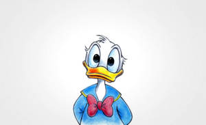 1562x955 Donald Duck Wallpaper Wallpaper
