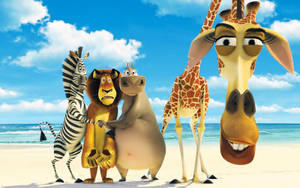 1600x1000 Madagascar Cartoon Wallpaper Wallpaper Wallpaper