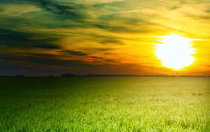 1600x1000 Peace Hd Wallpaper Wallpaper