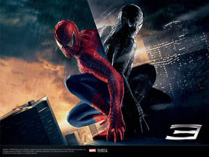1600x1200 Spider Man Hd Wallpaper Wallpaper