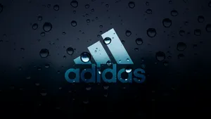 1600x900 Adidas Hd Wallpaper And Background Image Wallpaper