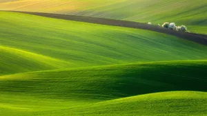 1920x1080 4k Green Hills Wallpaper