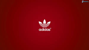 1920x1080 Adidas Original Wallpaper Wallpaper