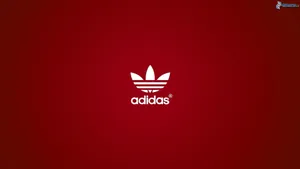 1920x1080 Adidas Original Wallpaper Wallpaper