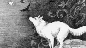 1920x1080 Animals Birds Follow Your Dream White Wolf Wallpaper Wallpaper