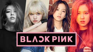 1920x1080 Black Pink Image Blackpink Hd Wallpaper And Background Photo Wallpaper