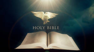 1920x1080 Hd Biblical With White Pigeon Wallpaper