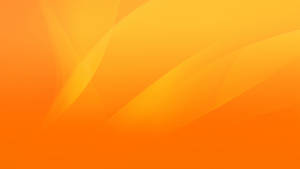 1920x1080 Orange Wallpaper Wallpaper