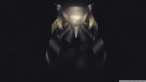 1920x1080 Owl ❤ 4k Hd Desktop Wallpaper For 4k Ultra Hd Tv • Wide & Ultra Wallpaper