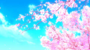 1920x1080 Sakura Hd Wallpaper And Background Image Wallpaper