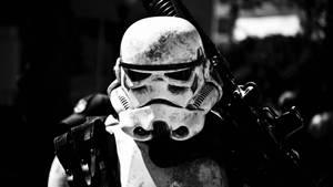 1920x1080 Stormtrooper Wallpaperdownload Free Awesome Background Wallpaper