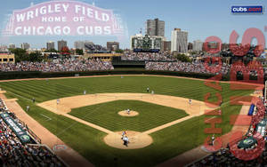 1920x1200 Chicago Cubs Wallpaper Wallpaper