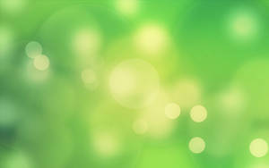 1920x1200 Green Full Hd Wallpaper And Background Image Wallpaper