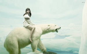 1920x1200 Polar Bear On Melting Ice Hd Desktop Wallpaper Wallpaper