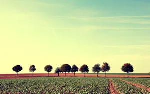 1920x1200 Serene Sky Wallpaper Wallpaper