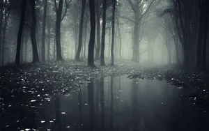 1920x1200 Spooky Forest Wallpaper Wallpaper