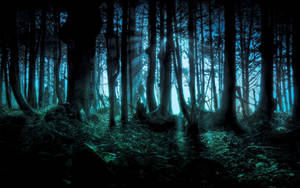 1920x1200 Spooky Hd Wallpaper And Background Image Wallpaper