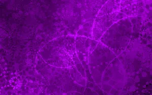 1920x1200 View: Purple, Wallpaper And Picture – Free Download Wallpaper