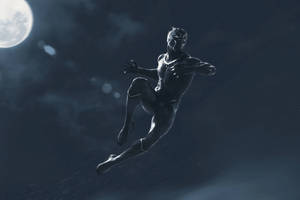 1920x1280 Black Panther Hd Wallpaper And Background Image Wallpaper