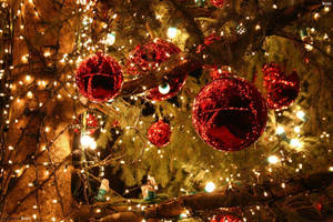 1920x1280 Christmas Lights Wallpaper Wallpaper