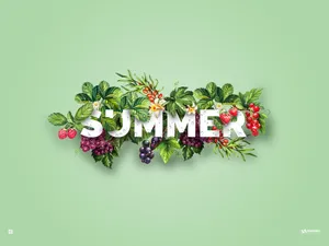 1920x1440 Summer Wallpaper Wallpaper