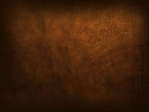 2048x1536 Brown Wallpaper, Picture, Image Wallpaper