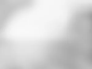 2048x1536 Simple Silver Wallpaper 21842 2048x1536 Px Wallpaper