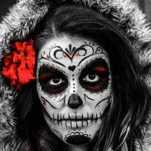 2048x2048 Sugar Skull Wallpaperdownload Free Cool Full Hd Wallpaper Wallpaper