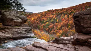 2560 X 1440 Autumn Kaaterskill Falls Wallpaper
