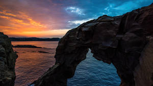 2560 X 1440 Elephant Trunk Rock By The Sea Wallpaper