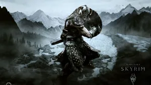 2560 X 1440 Skyrim Laat Dovahkiin Vikings Wallpaper