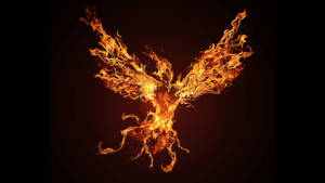 2560x1440 Phoenix Wallpaperdownload Free Beautiful High Resolution Wallpaper