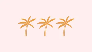 2560x1440 Summer Coconut Trees Wallpaper
