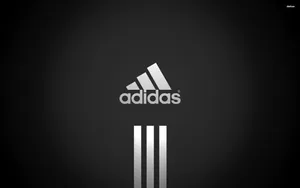 2560x1600 Adidas Wallpaper Wallpaper