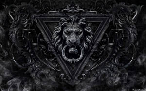 2560x1600 Black Lion Hd Wallpaper Collection Wallpaper