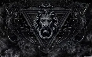 2560x1600 Black Lion Hd Wallpaper Collection Wallpaper