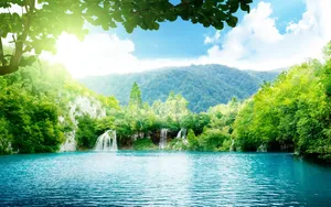 2560x1600 Forest Waterfall Wallpaper - Download Hd Forest Waterfall Wallpaper Wallpaper