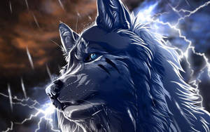 2560x1600 Free Download Werewolf Wallpaper Wallpaper