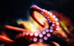 2560x1600 Octopus, Hd Creative, 4k Wallpaper, Image, Background, Photo Wallpaper