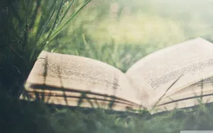2560x1600 Open Book On Green Grass ❤ 4k Hd Desktop Wallpaper For • Dual Wallpaper