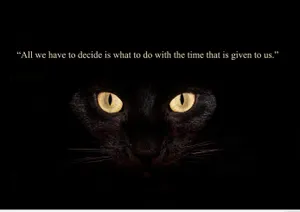 2781x1967 Strong Wise Wisdom Quotes & Image Wallpaper 2018 Hd Wallpaper