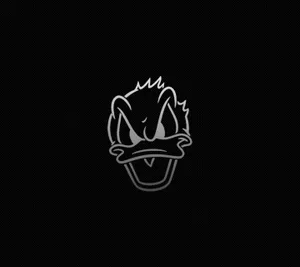 2880x2560 Black Duck Wallpaper Wallpaper