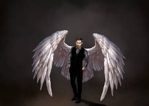 3139x2225 Lucifer Hd Wallpaper And Background Image Wallpaper