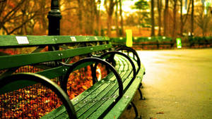 32k Ultra Hd Nature Bench In Park Wallpaper