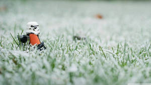 32k Ultra Hd Nature Star Wars Stormtrooper In Grass Wallpaper